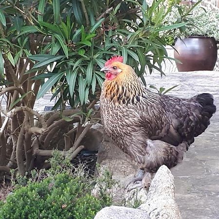 Les Sources Bed & Breakfast Poilley  Bagian luar foto