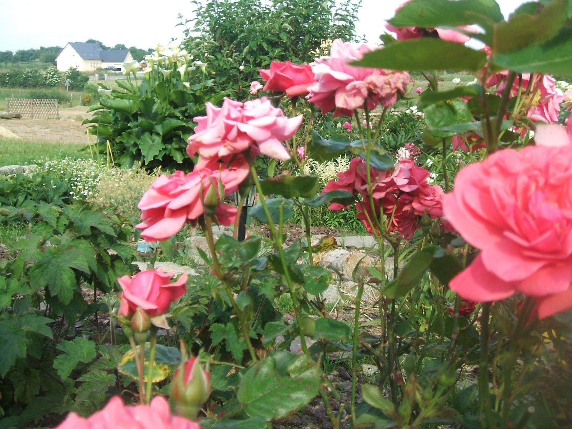 Les Sources Bed & Breakfast Poilley  Bagian luar foto